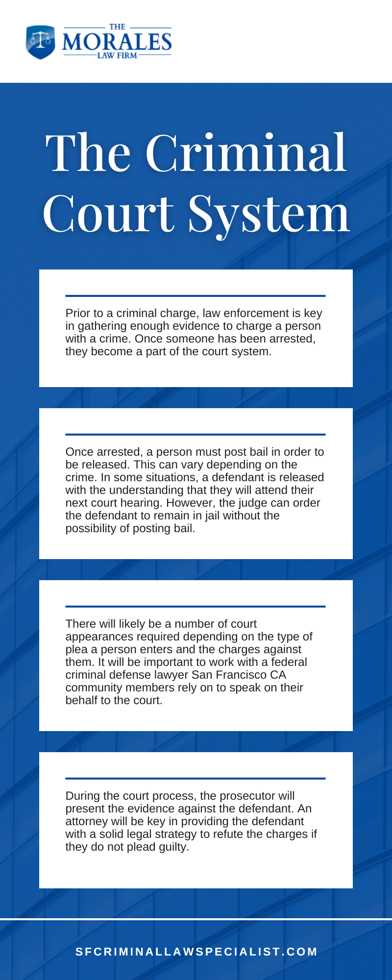 The Criminal Court System Infographic